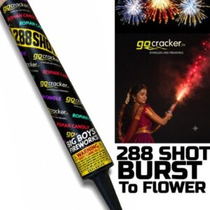 HAND SHOT - 288 SHOT